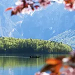 Holiday park Park Am See