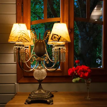 פארק נופש Park Am